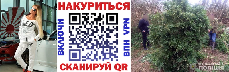 Как найти наркотики Прохладный Каннабис  APVP  ГАШ  БУТИРАТ  Codein  COCAIN 