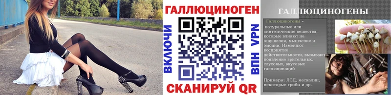 даркнет сайт  Прохладный  Галлюциногенные грибы мицелий 